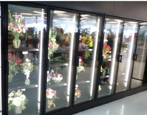 A caminhada da exposição floral nos refrigeradores anda no aço colorido da porta o refrigerador de vidro