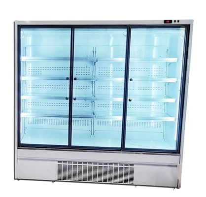 Porta de vidro ereta 220V/50HZ do refrigerador 2/3/4 da porta do supermercado R290