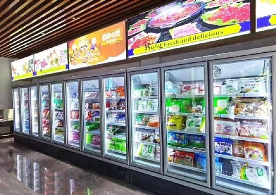 A porta de vidro 110V/60Hz 220-240V do congelador ereto comercial obstrui no tipo UF2 para o gelado