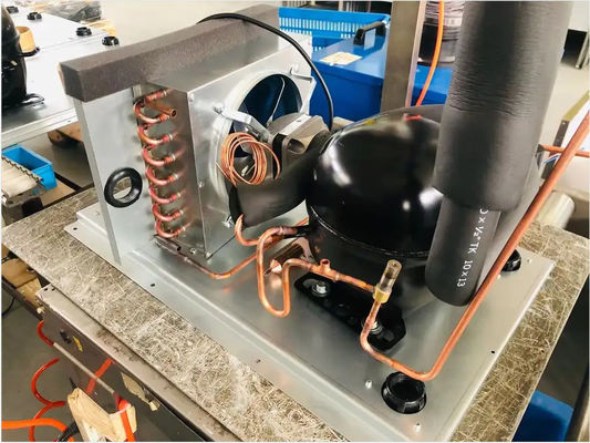 Bufete do marisco da Auto-limpeza da Queda-prova da máquina de gelo do cubo de Sk-81b