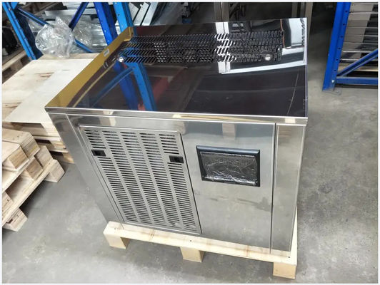 Fabricante de gelo comercial do floco para a oficina amigável 300kg 500kg do alimento da esterilização uv rachada